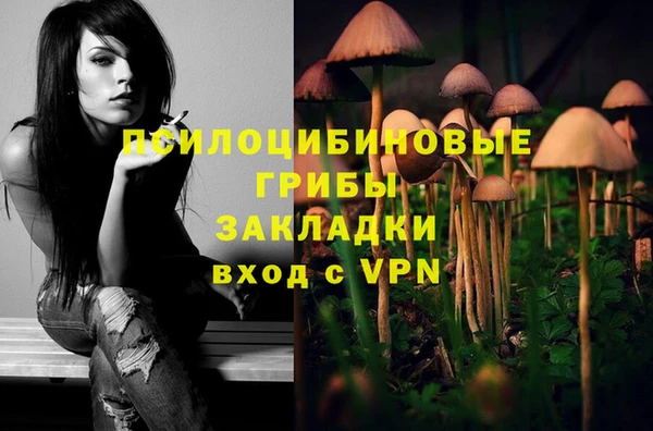 mix Вяземский